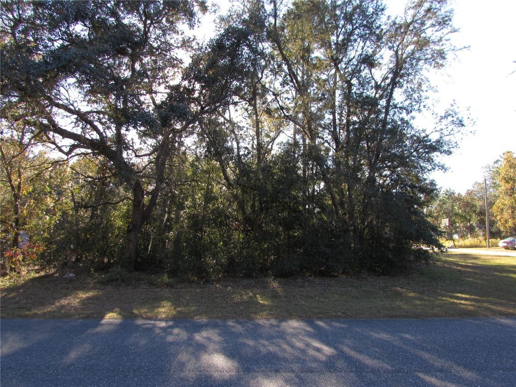 60 W Navarro Place Citrus Springs FL 34434 OM690698 image1