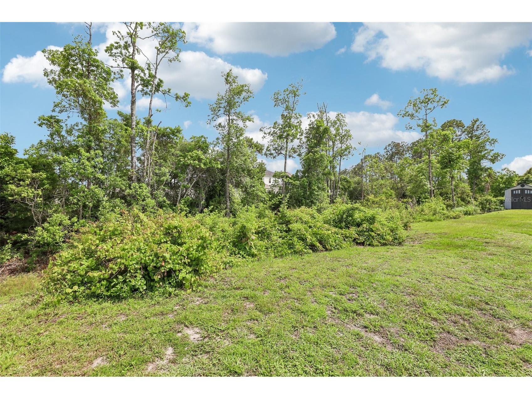 60 Woodbury Drive Palm Coast FL 32164 O6412936 image31