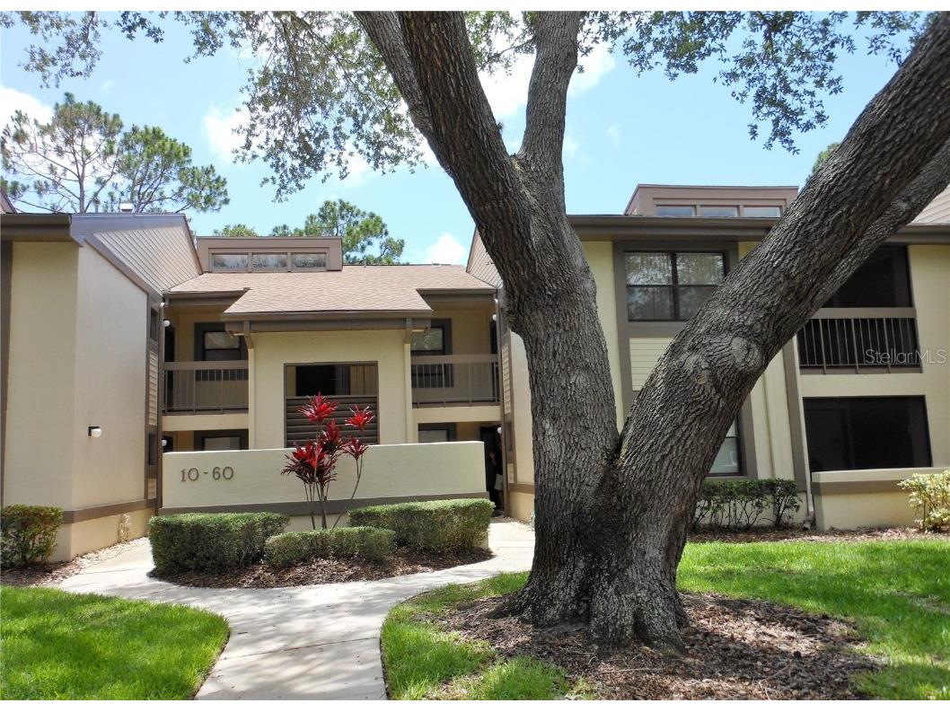 60 Woodlake Place #60 Oldsmar FL 34677 U8224202 image1