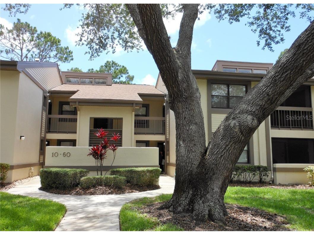 60 Woodlake Place Oldsmar FL 34677 U8250616 image1