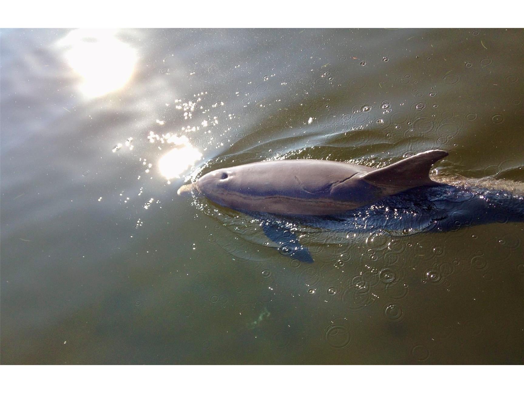 600 3rd Avenue S #201 Saint Petersburg FL 33701 TB8443670 image54