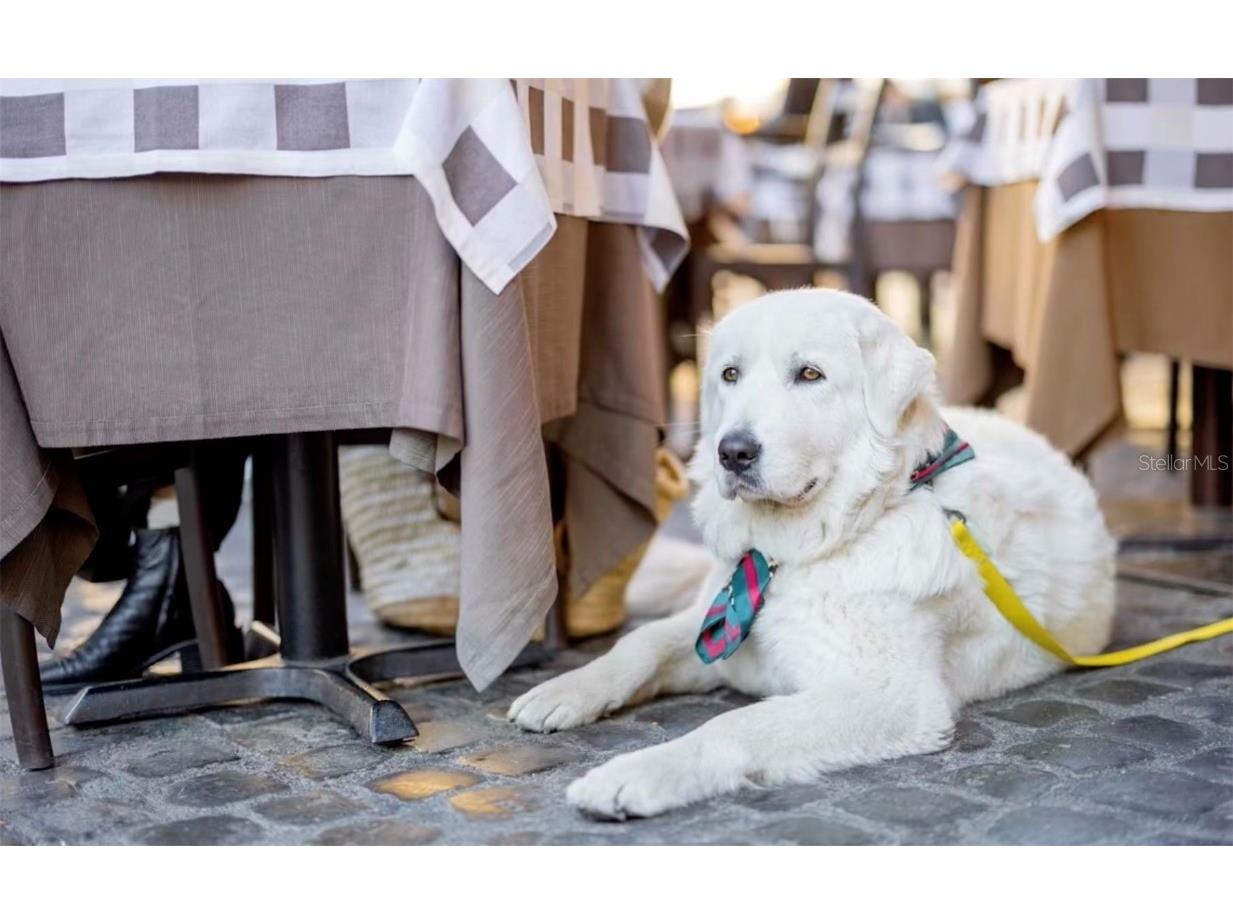 600 3rd Avenue S #205 Saint Petersburg FL 33701 TB8419173 image54