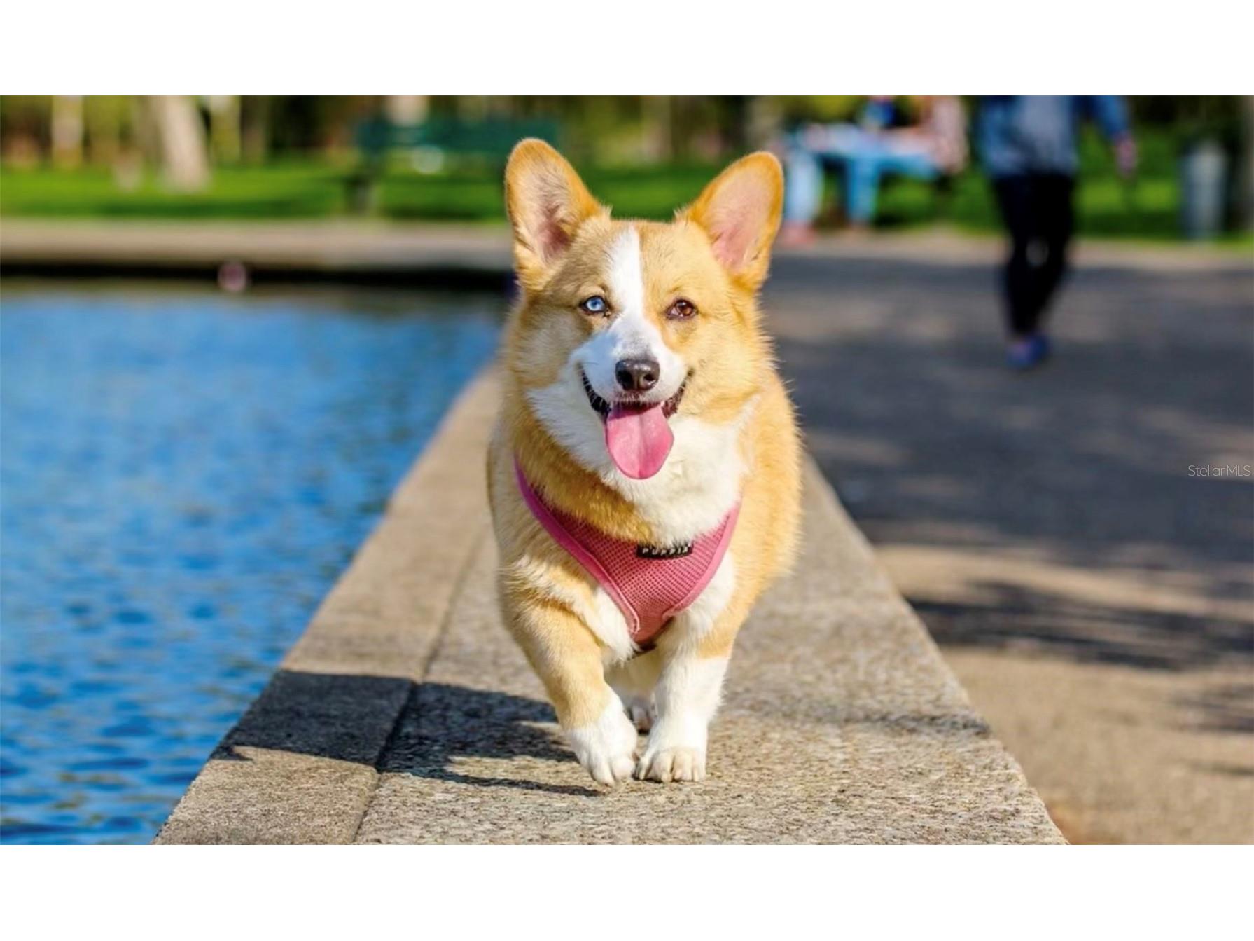 600 3rd Avenue S #406 Saint Petersburg FL 33701 TB8419243 image58