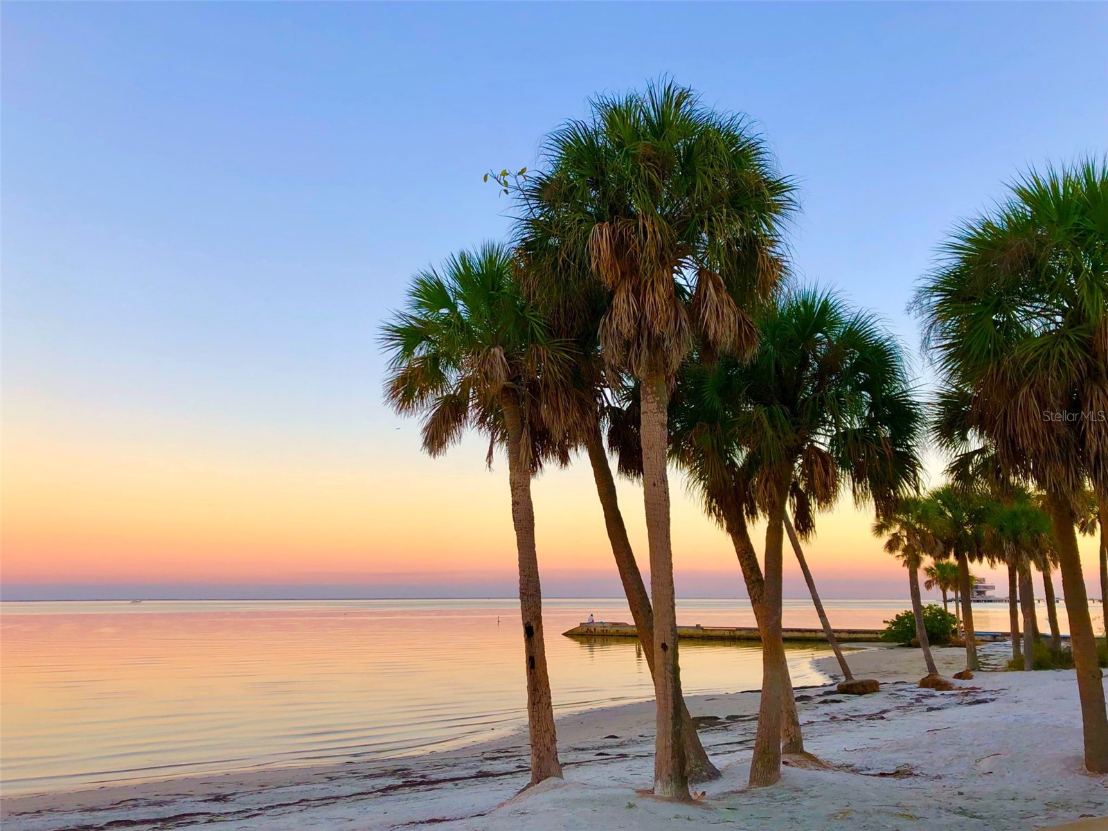 600 3rd Avenue S #406 Saint Petersburg FL 33701 TB8419243 image60