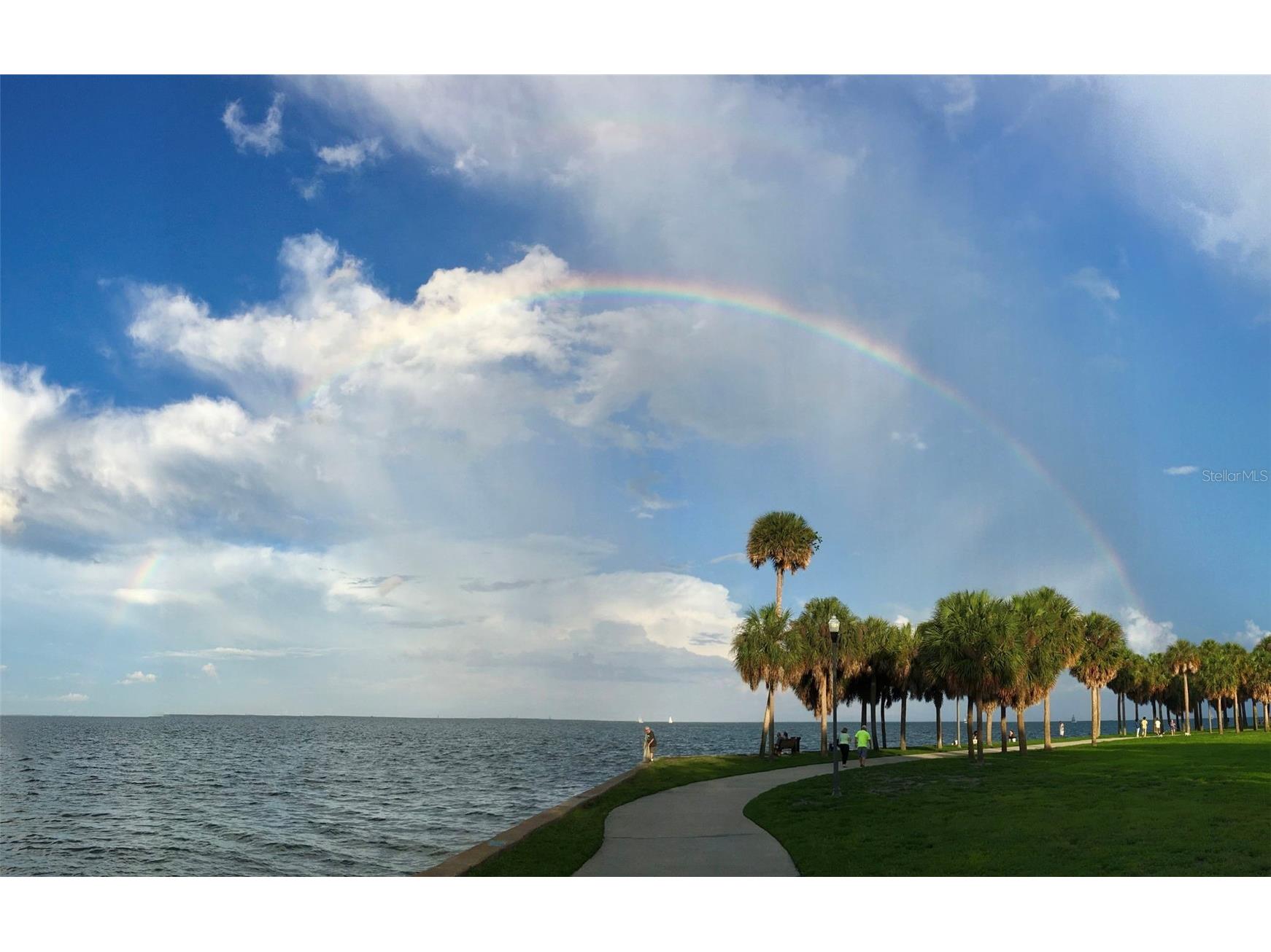 600 3rd Avenue S #406 Saint Petersburg FL 33701 TB8419243 image61