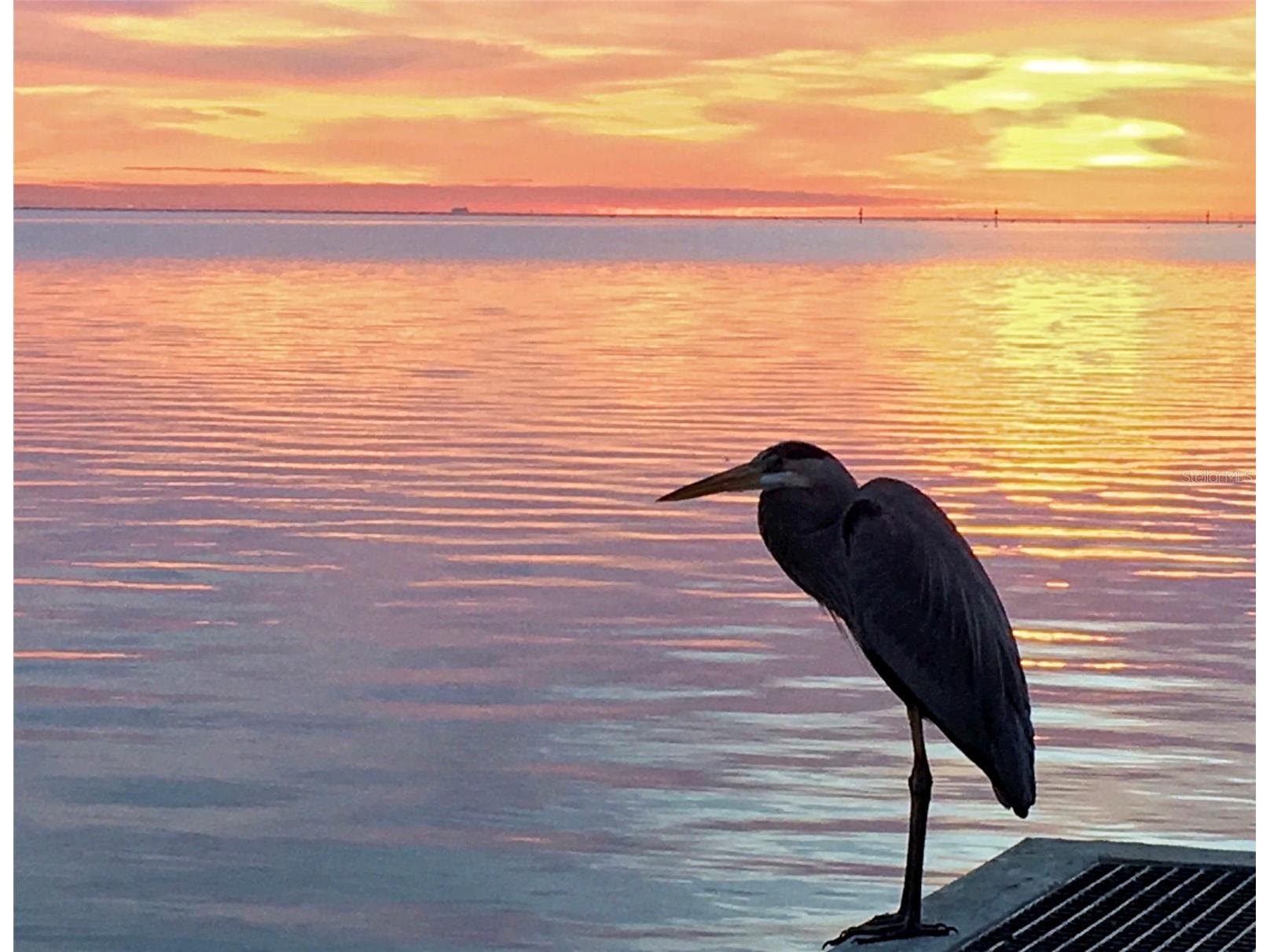 600 3rd Avenue S #406 Saint Petersburg FL 33701 TB8419243 image62