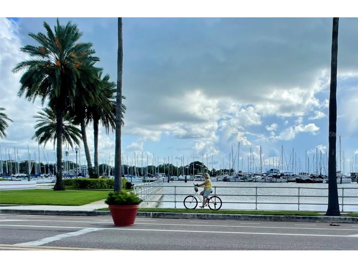 600 3rd Avenue S #410 Saint Petersburg FL 33701 TB8443742 image42