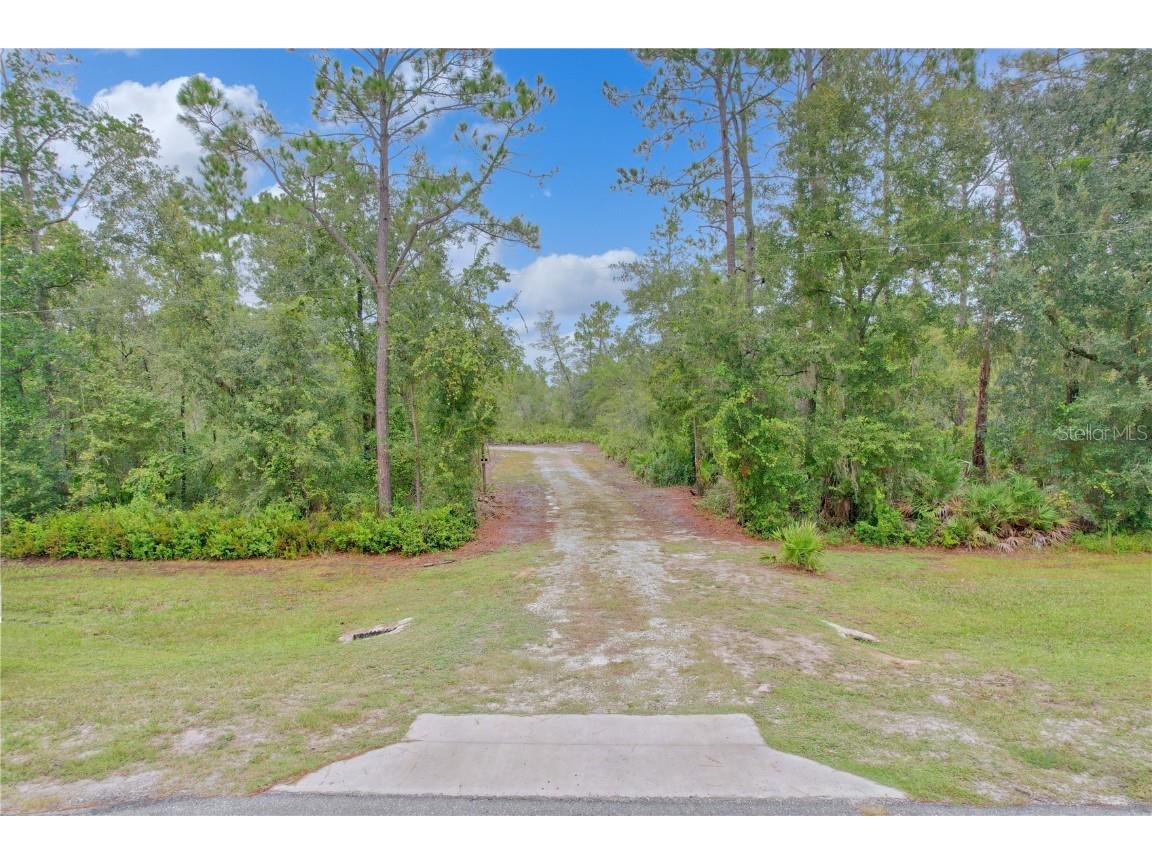 600 County Road 310 Palatka FL 32177 OM665370 image1