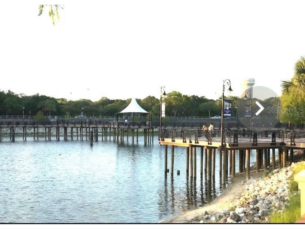 600 Cranes Way #204 Altamonte Springs FL 32701 S5136672 image24