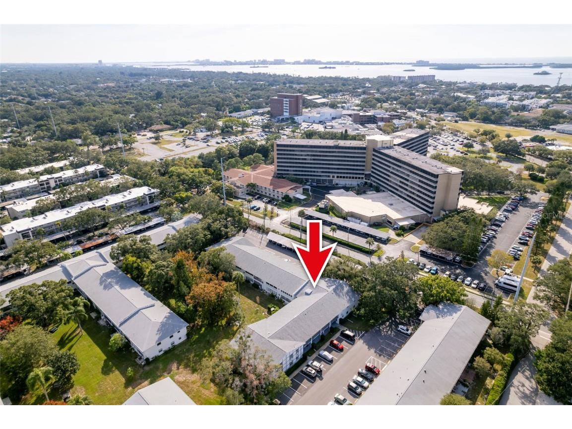 600 Glennes Lane #210 Dunedin FL 34698 U8218065 image1