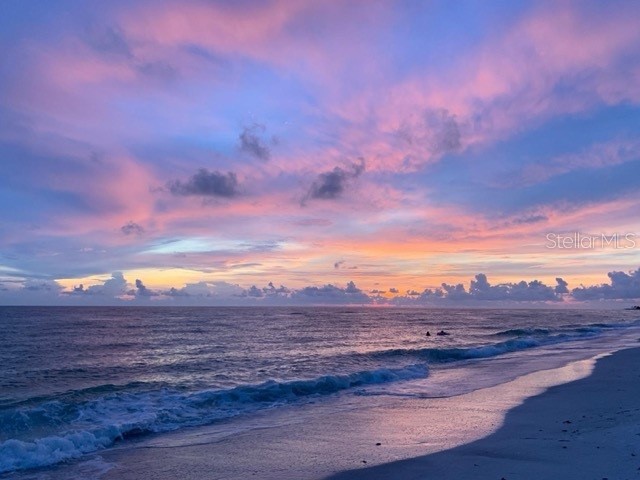 600 Jungle Queen Way Longboat Key FL 34228 TB8476883 image10