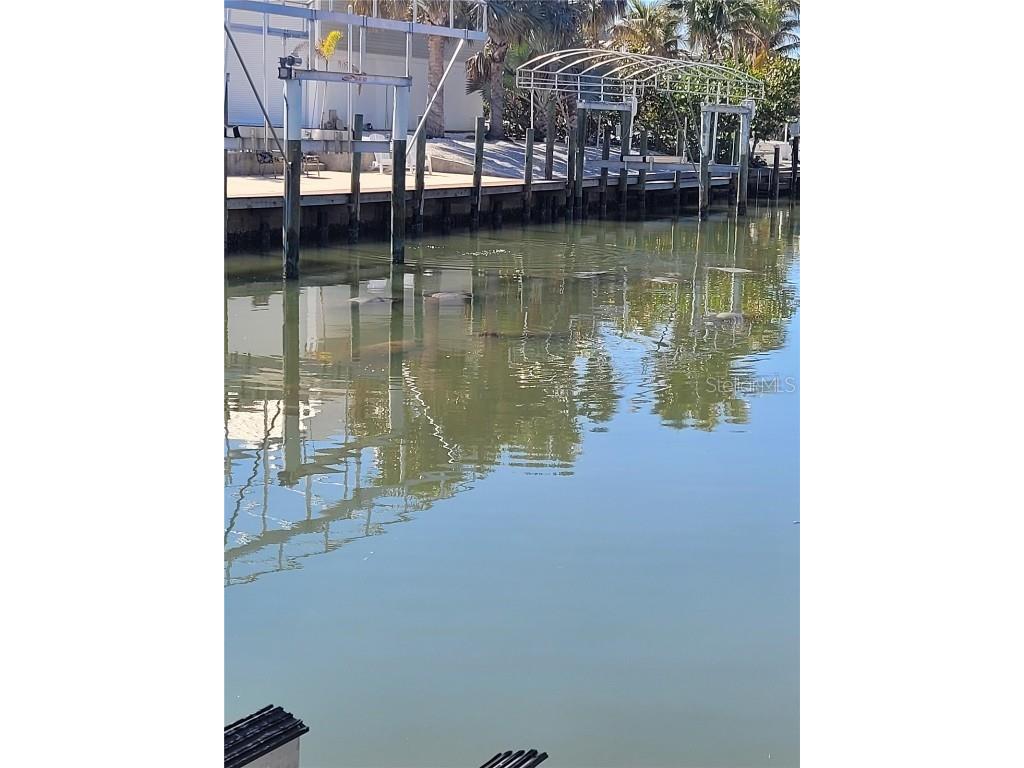 600 Lookout Alley Placida FL 33946 D6144235 image35