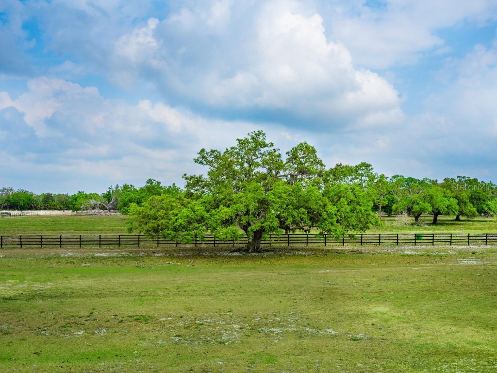 600 N Jackson Road Venice FL 34292 - BLACKBURN CANAL/CURRY CREEK A4660187 image29