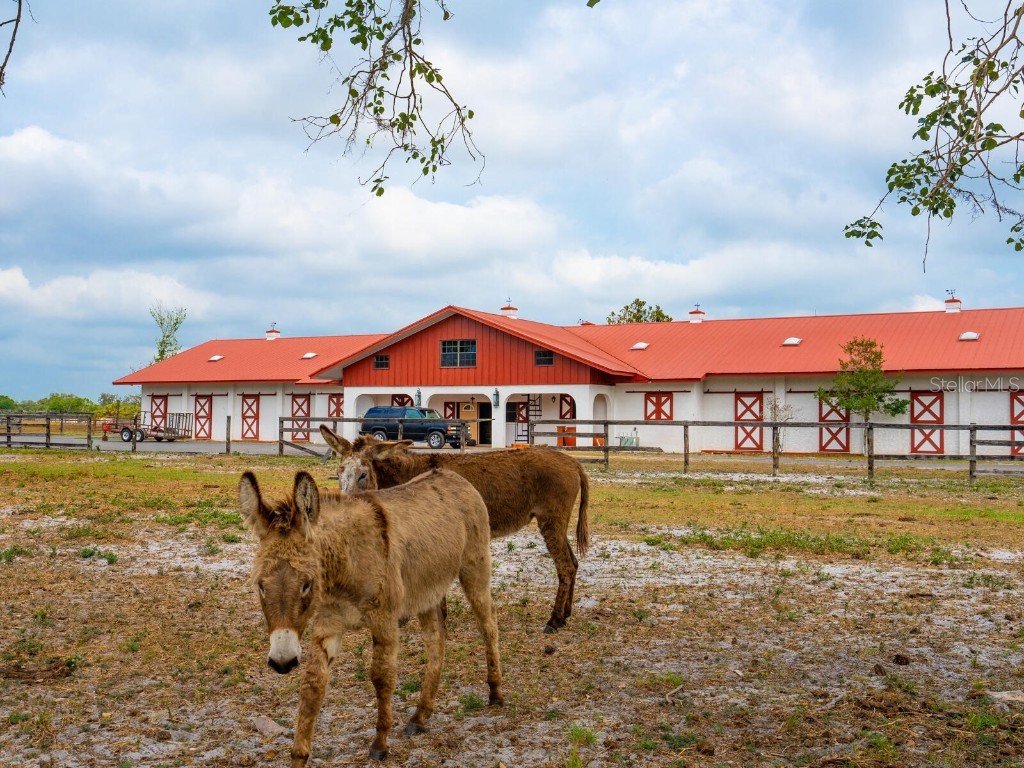 600 N Jackson Road Venice FL 34292 - BLACKBURN CANAL/CURRY CREEK A4660187 image39