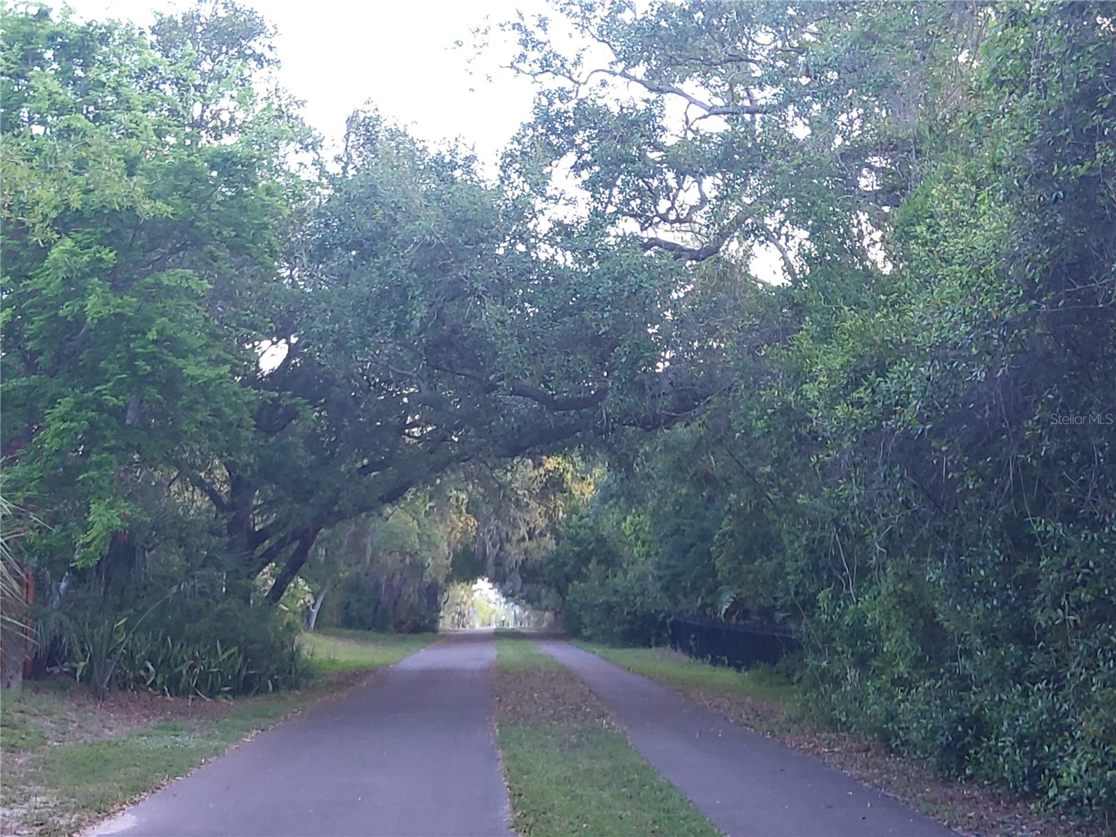 600 N Mayo Street Crystal Beach FL 34681 TB8492373 image76