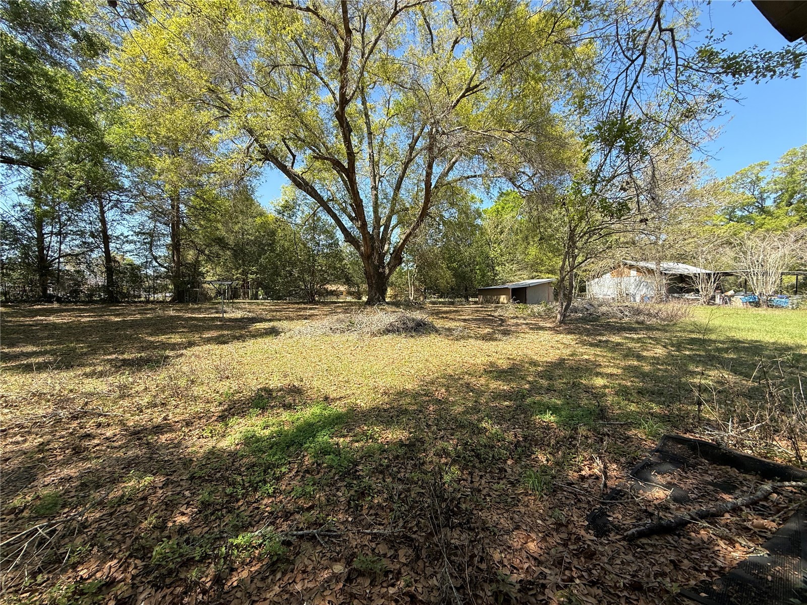 600 NE 53rd Court Ocala FL 34470 O6392676 image14