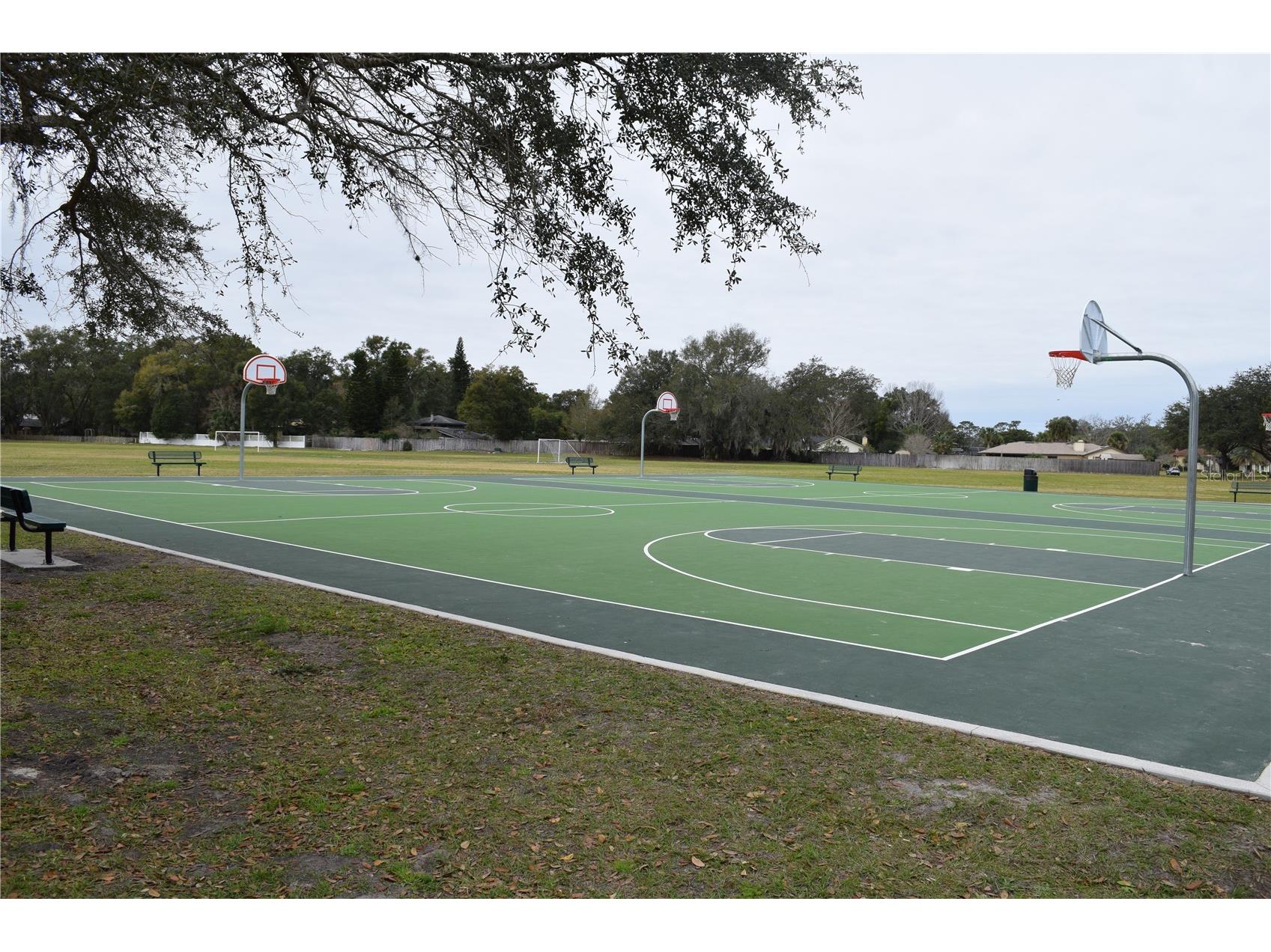 600 Northern Way #201 Winter Springs FL 32708 O6381688 image30