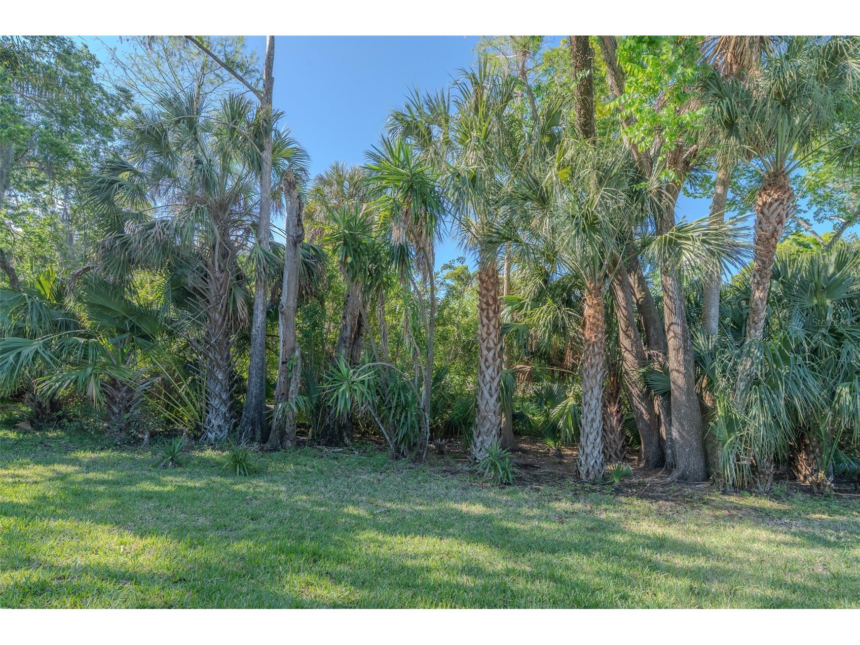 600 S Woodlands Drive Oldsmar FL 34677 TB8488468 image34