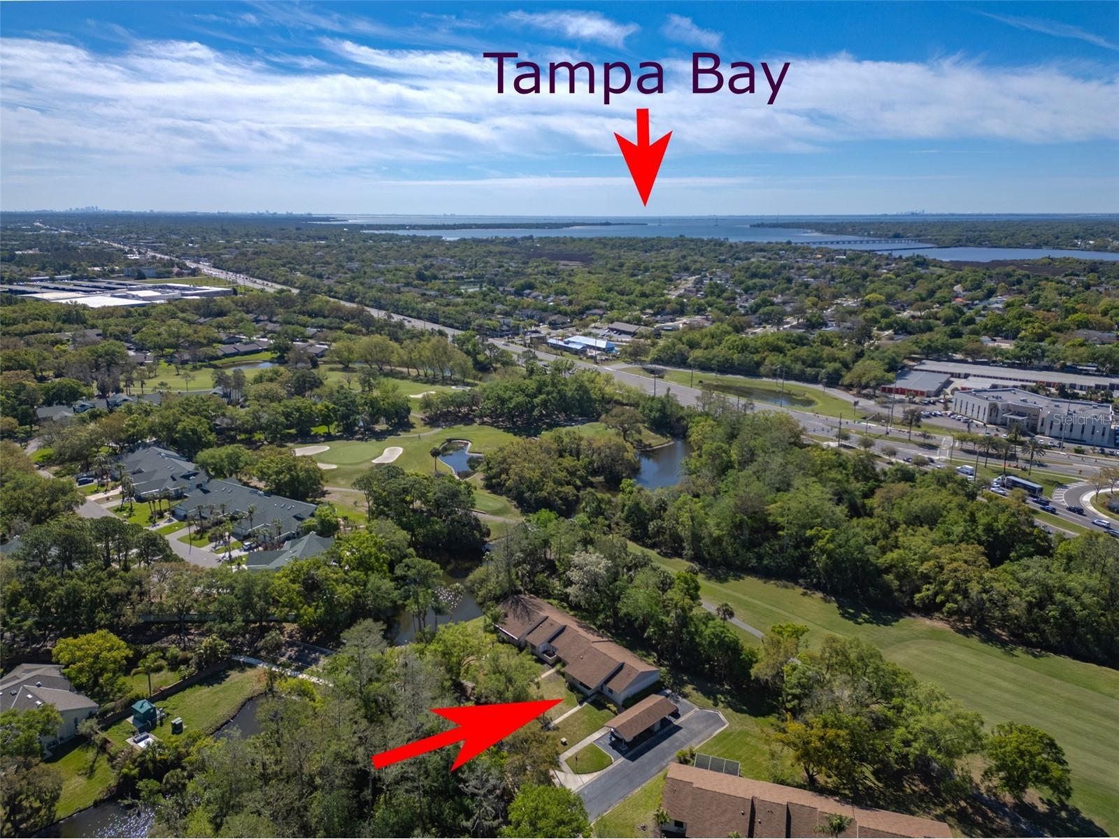 600 S Woodlands Drive Oldsmar FL 34677 TB8488468 image40
