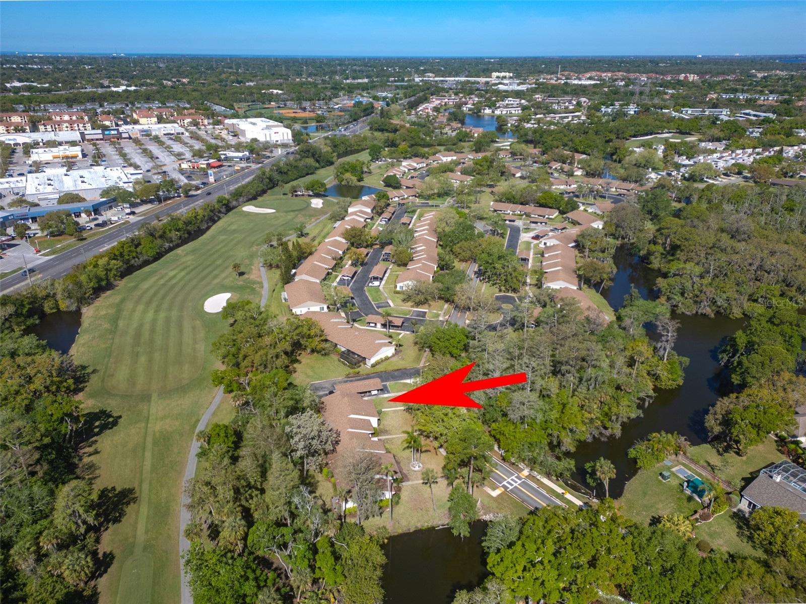 600 S Woodlands Drive Oldsmar FL 34677 TB8488468 image41