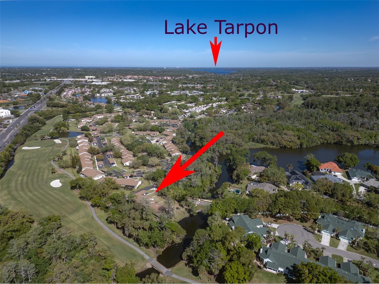 600 S Woodlands Drive Oldsmar FL 34677 TB8488468 image45