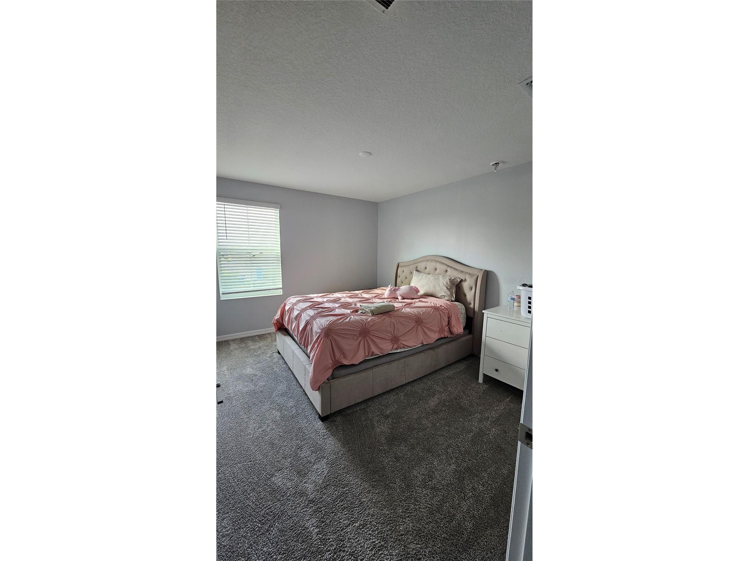 600 Silver Palm Drive Haines City FL 33844 S5142264 image8