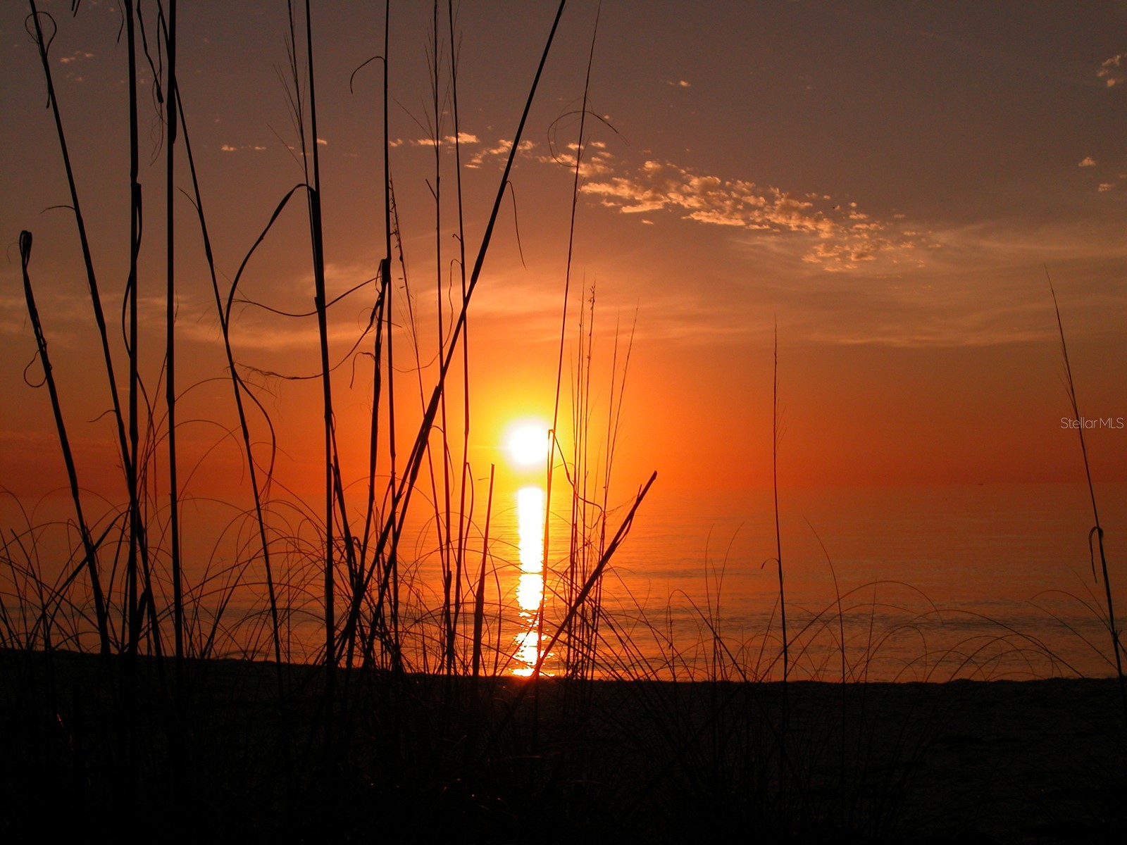 600 Sutton Place #B302 Longboat Key FL 34228 - SARASOTA BAY ICW SUTTON MARINA A4690036 image59