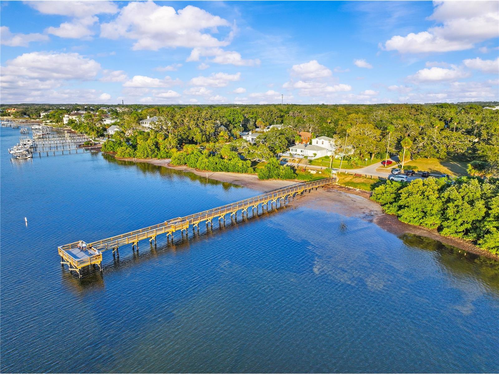 600 Tennessee Avenue Crystal Beach FL 34681 TB8456663 image20