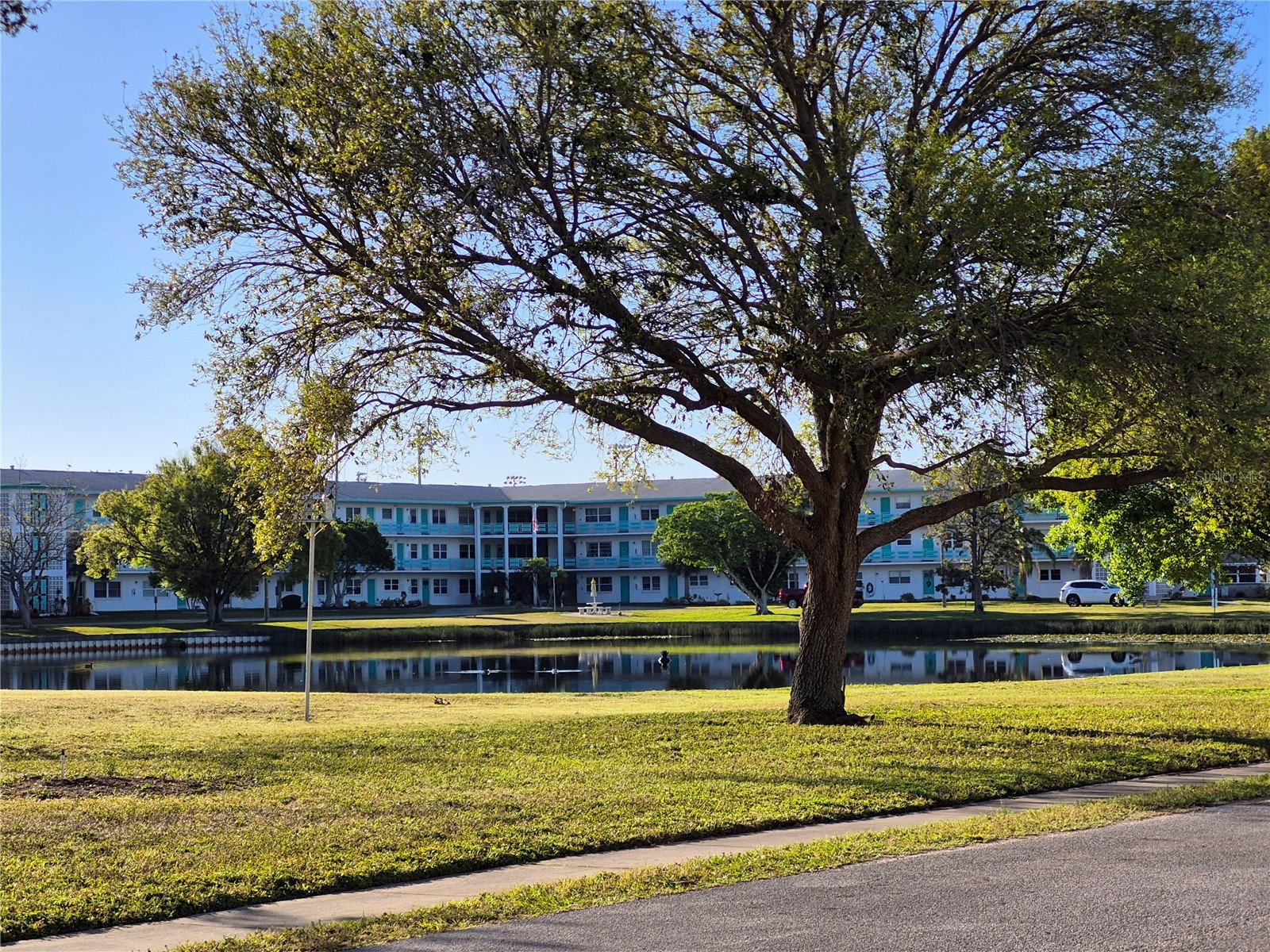 6000 20th Street N #116 Saint Petersburg FL 33714 TB8465037 image1