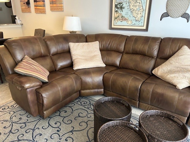 6000 Bahia Del Mar Circle #130 Saint Petersburg FL 33715 U8235264 image12