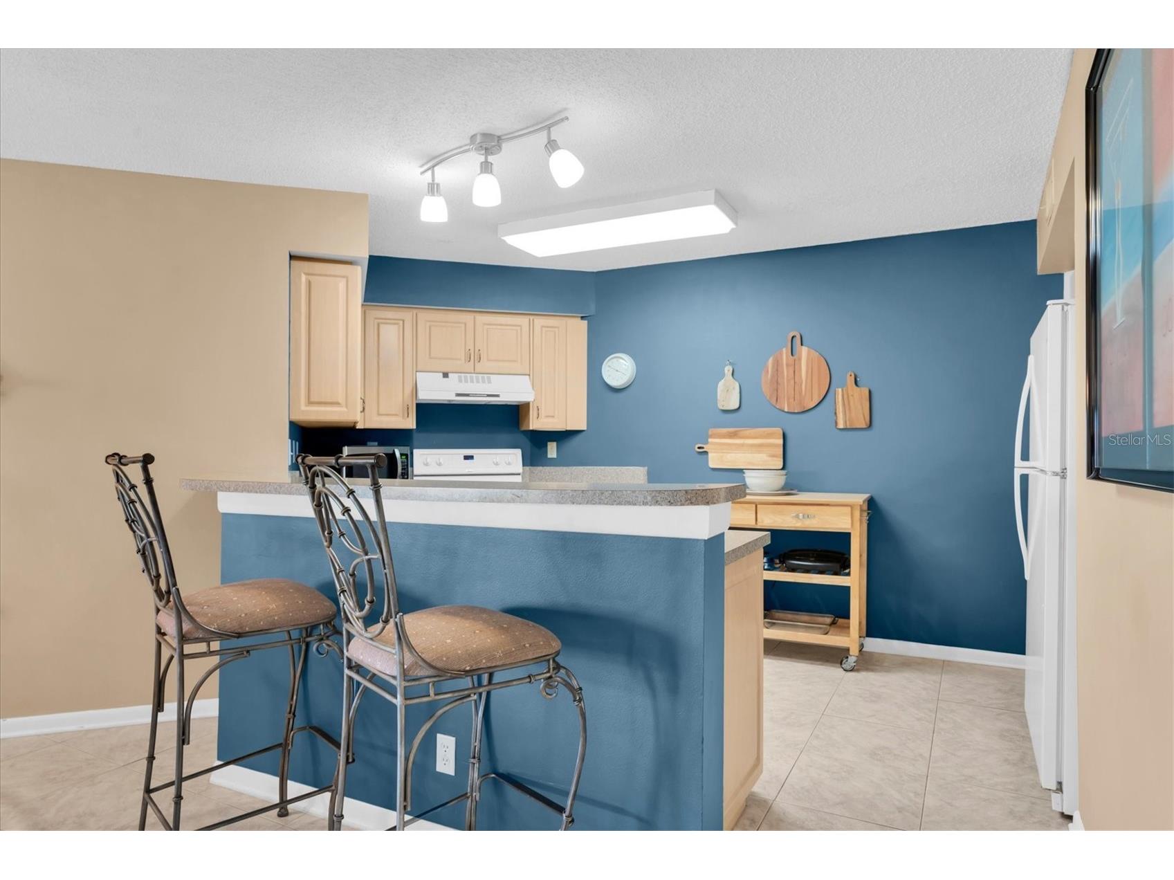 6000 Bahia Del Mar Circle #131 Saint Petersburg FL 33715 TB8519091 image12