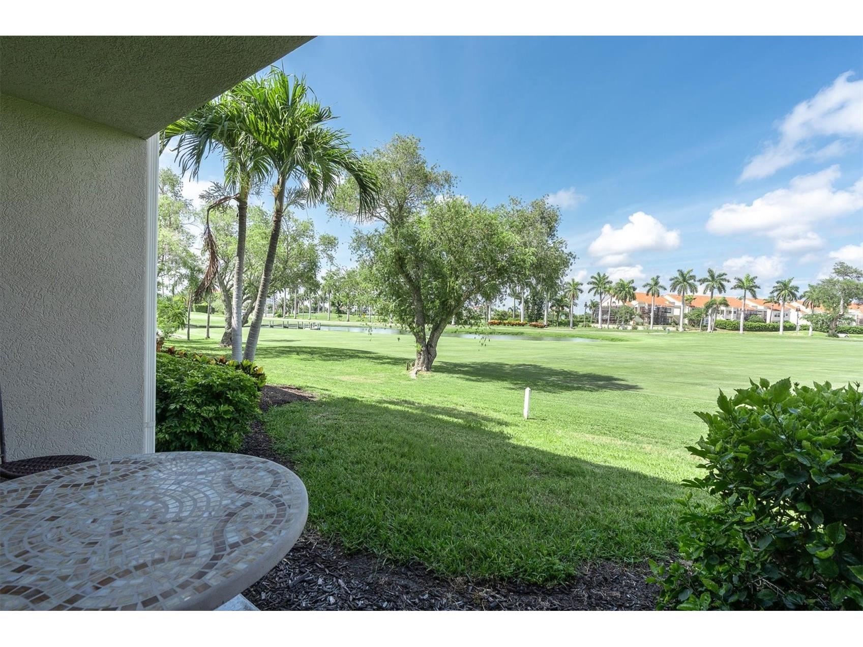 6000 Bahia Del Mar Circle #131 Saint Petersburg FL 33715 TB8519091 image31