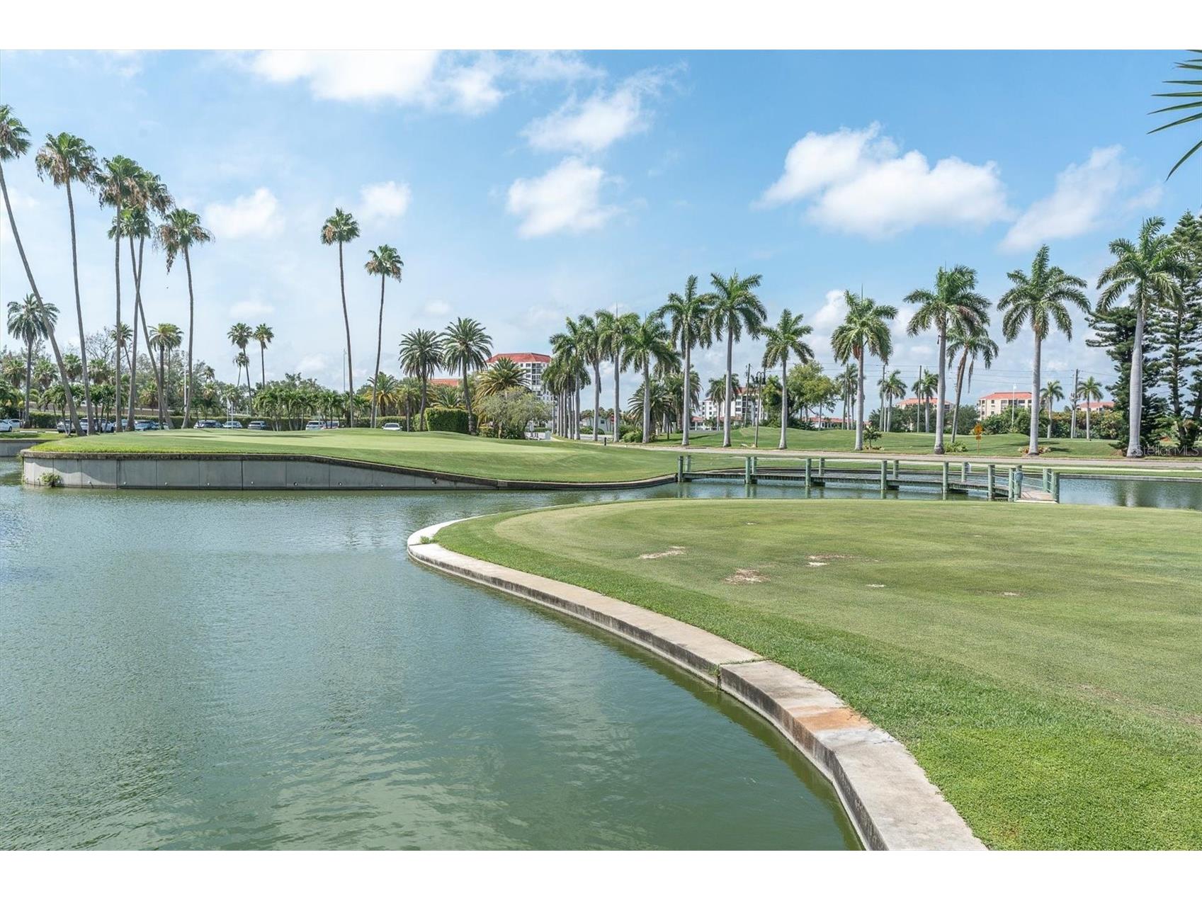 6000 Bahia Del Mar Circle #131 Saint Petersburg FL 33715 TB8519091 image33