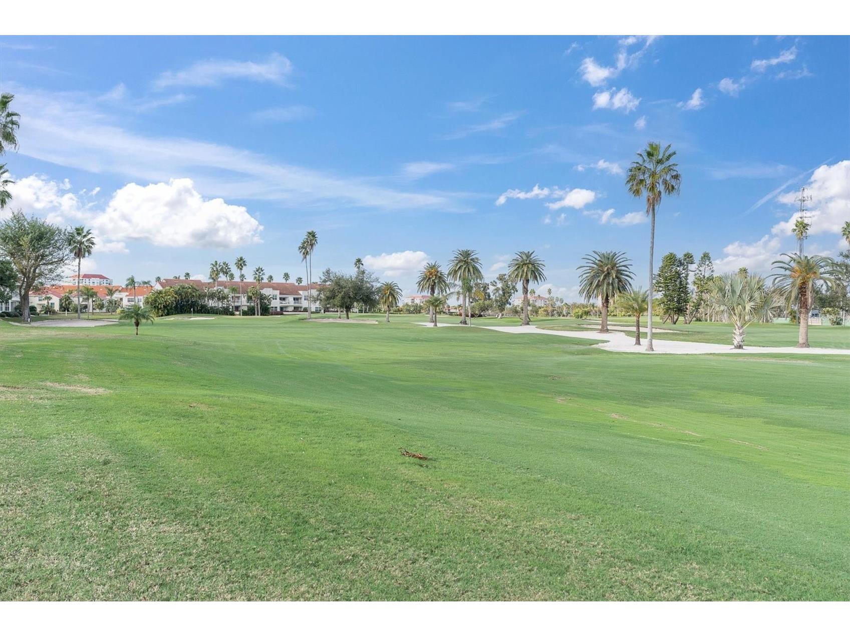 6000 Bahia Del Mar Circle #131 Saint Petersburg FL 33715 TB8519091 image34