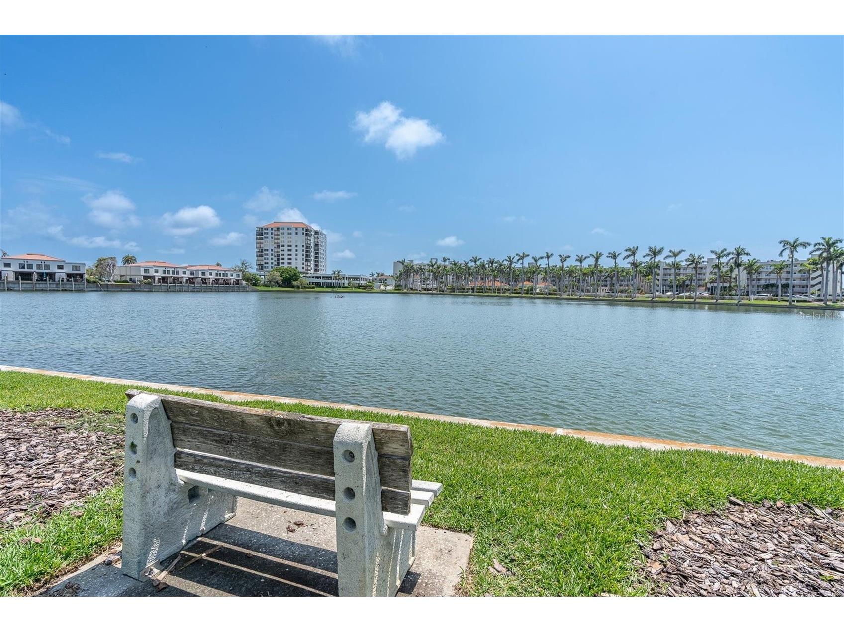 6000 Bahia Del Mar Circle #131 Saint Petersburg FL 33715 TB8519091 image35