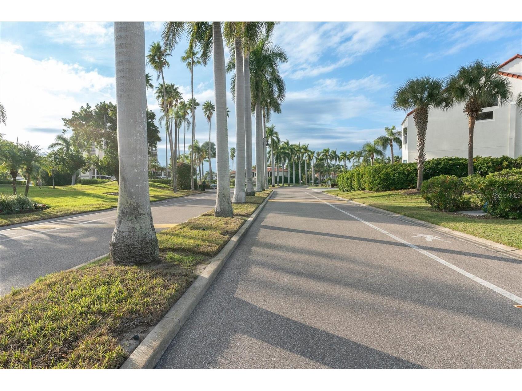 6000 Bahia Del Mar Circle #131 Saint Petersburg FL 33715 TB8519091 image41
