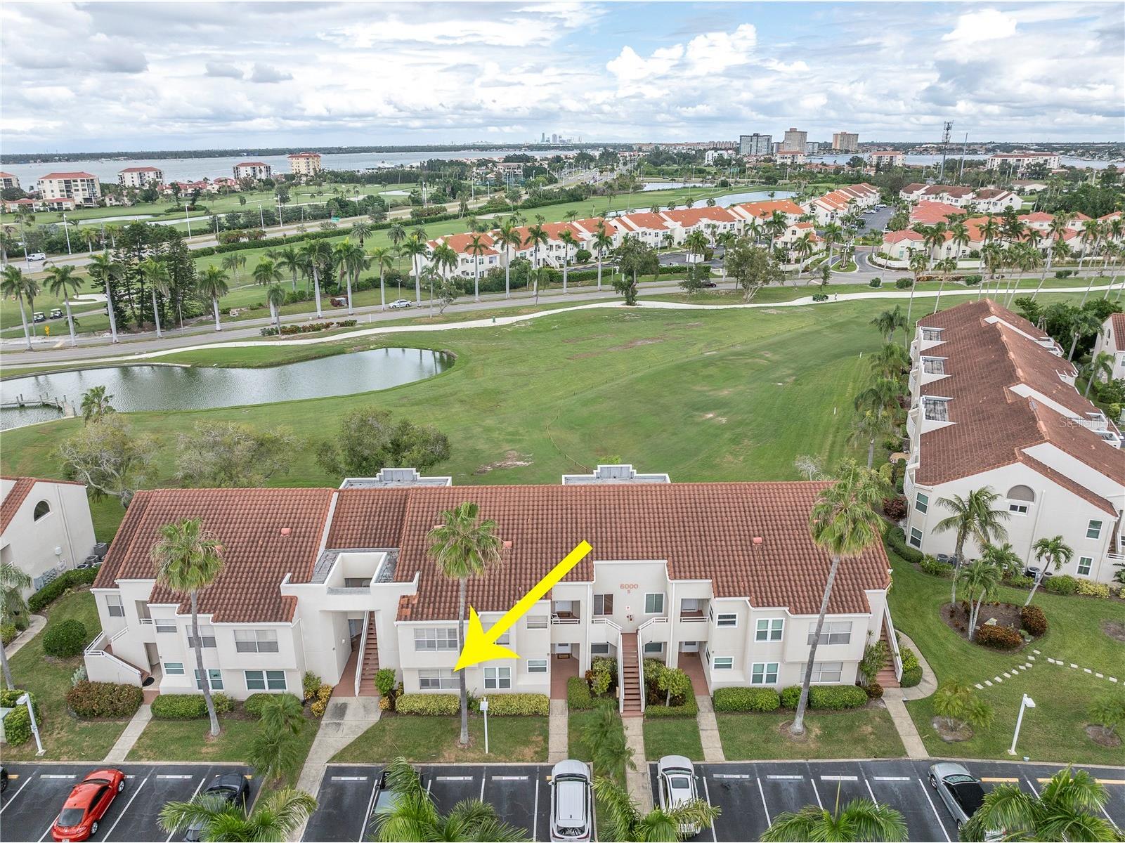6000 Bahia Del Mar Circle #131 Saint Petersburg FL 33715 TB8519091 image55