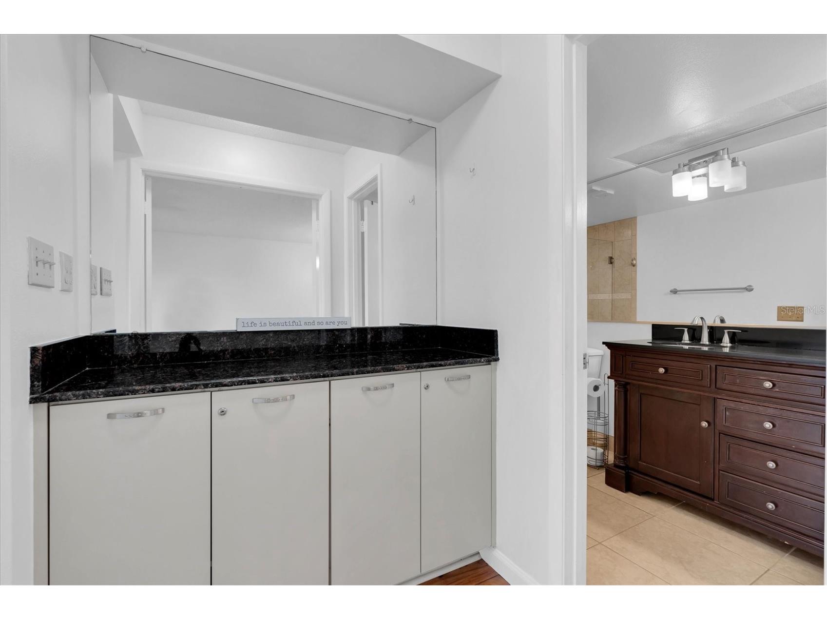 6000 Bahia Del Mar Circle #132 Saint Petersburg FL 33715 TB8483285 image21