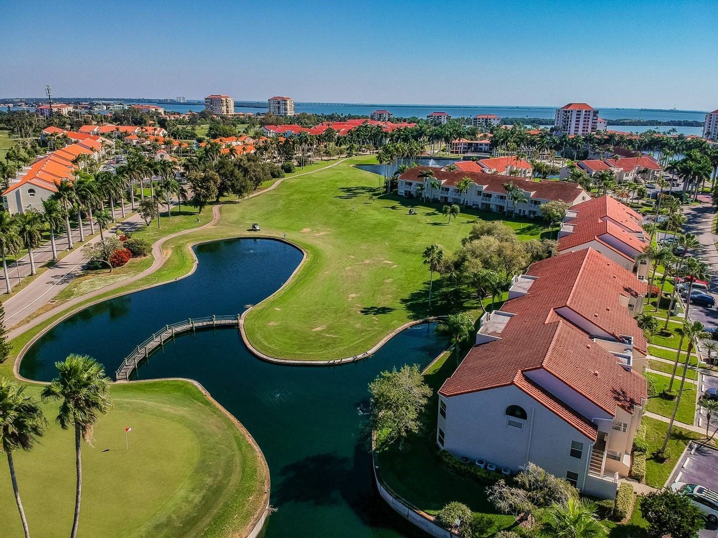 6000 Bahia Del Mar Circle #229 Saint Petersburg FL 33715 TB8475148 image1