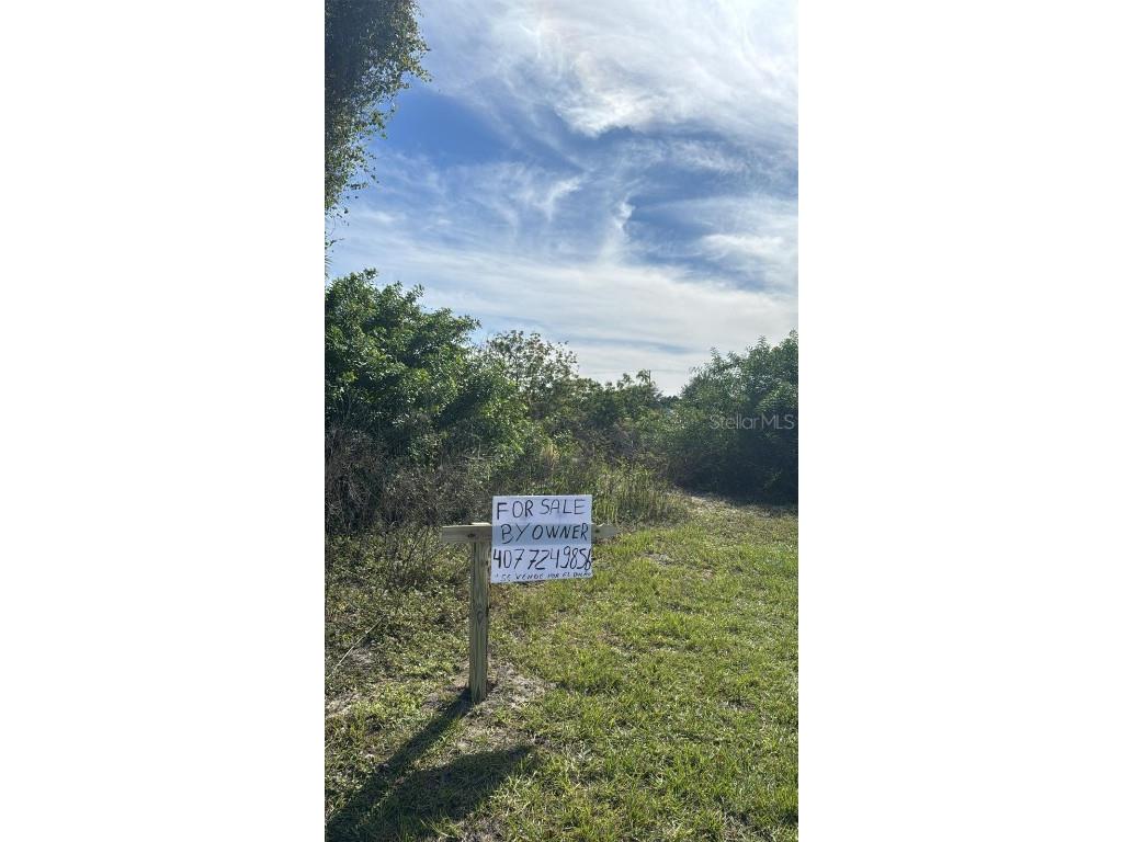 6000 Pat Avenue N Lehigh Acres FL 33971 O6367911 image3