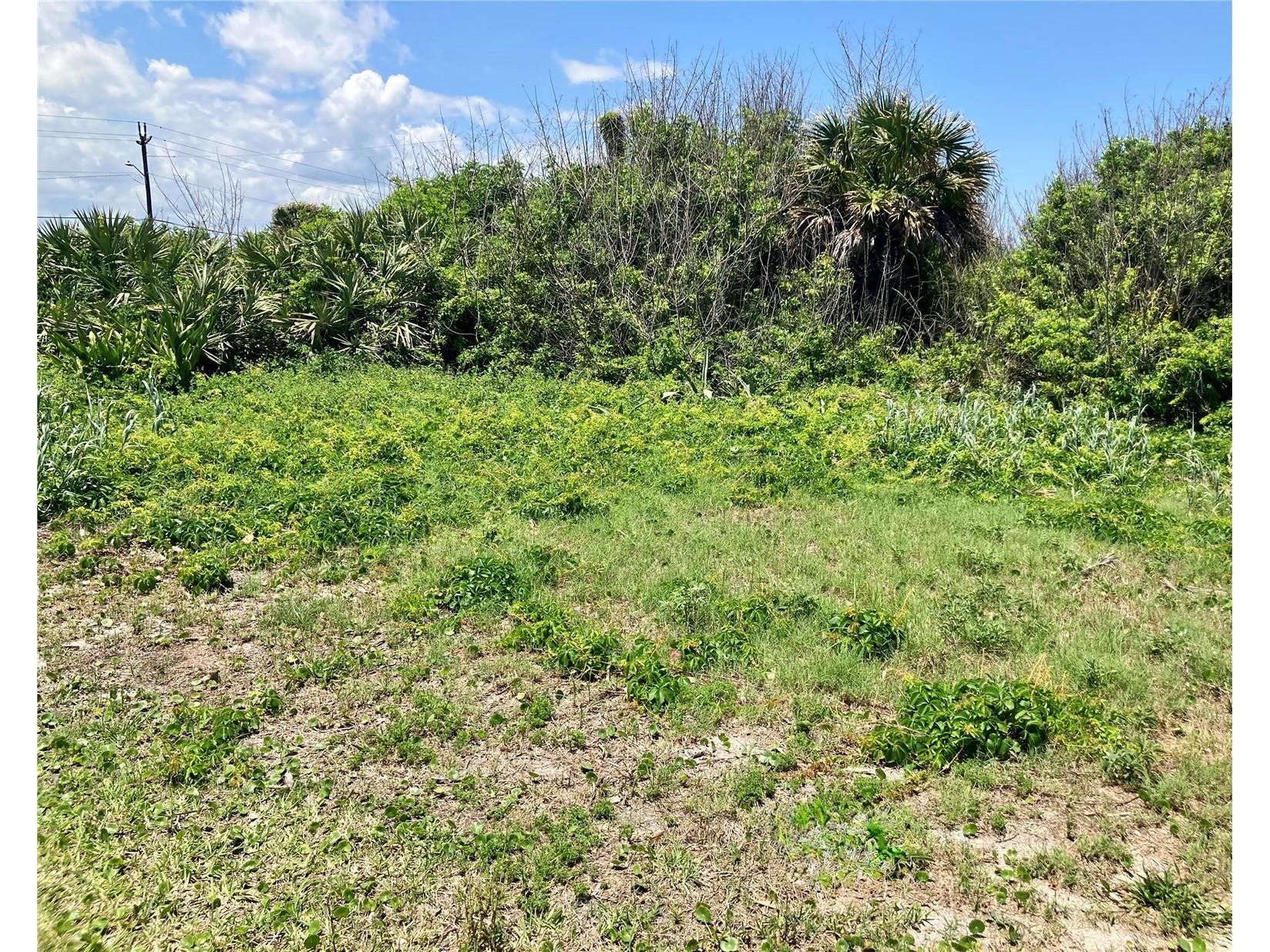 6000 S Atlantic Avenue New Smyrna Beach FL 32169 - ATLANTIC OCEAN O6407832 image14