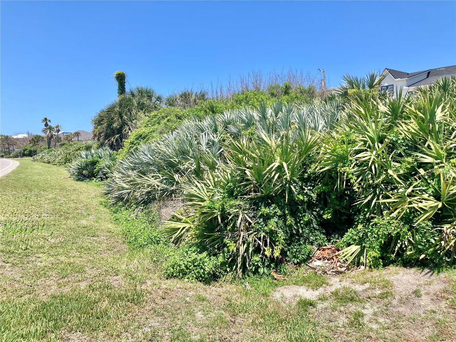 6000 S Atlantic Avenue New Smyrna Beach FL 32169 - ATLANTIC OCEAN O6407832 image17