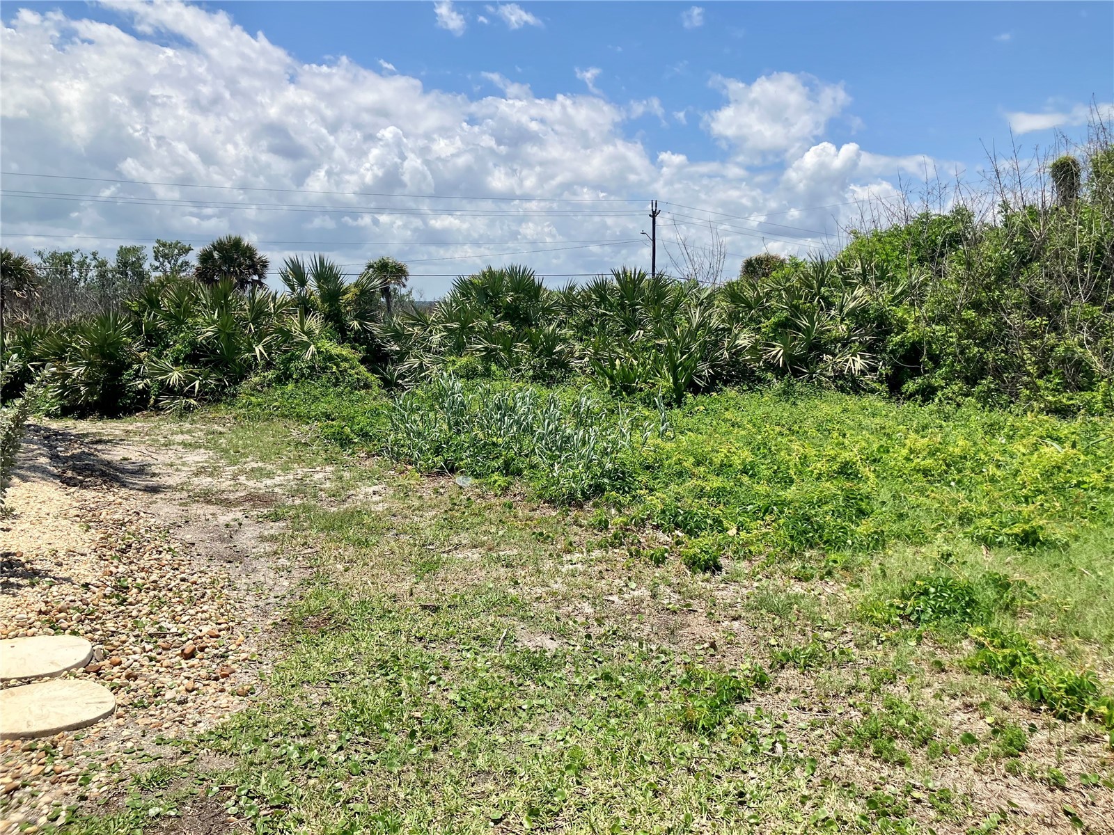 6000 S Atlantic Avenue New Smyrna Beach FL 32169 - ATLANTIC OCEAN O6407832 image18