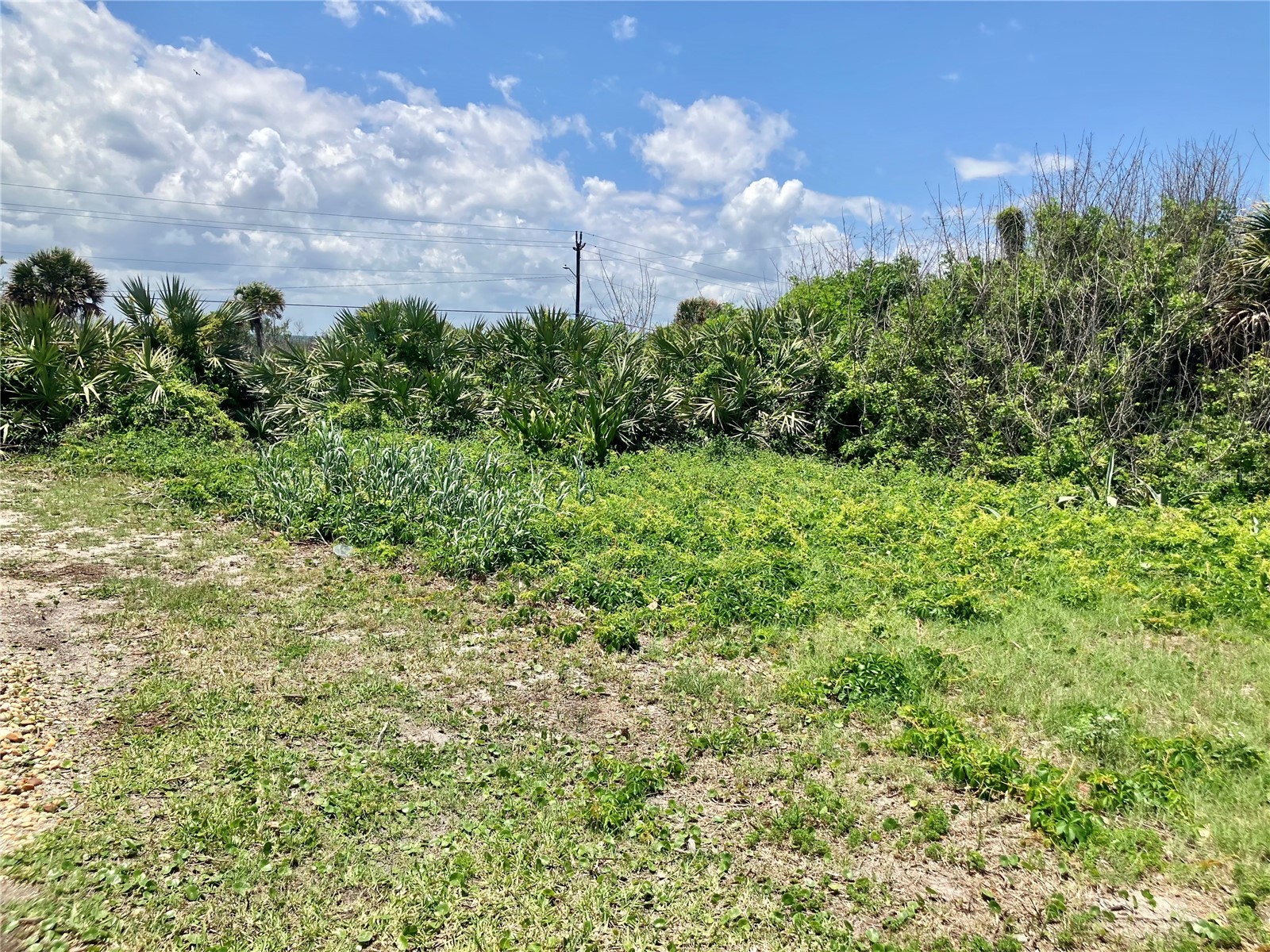 6000 S Atlantic Avenue New Smyrna Beach FL 32169 - ATLANTIC OCEAN O6407832 image3
