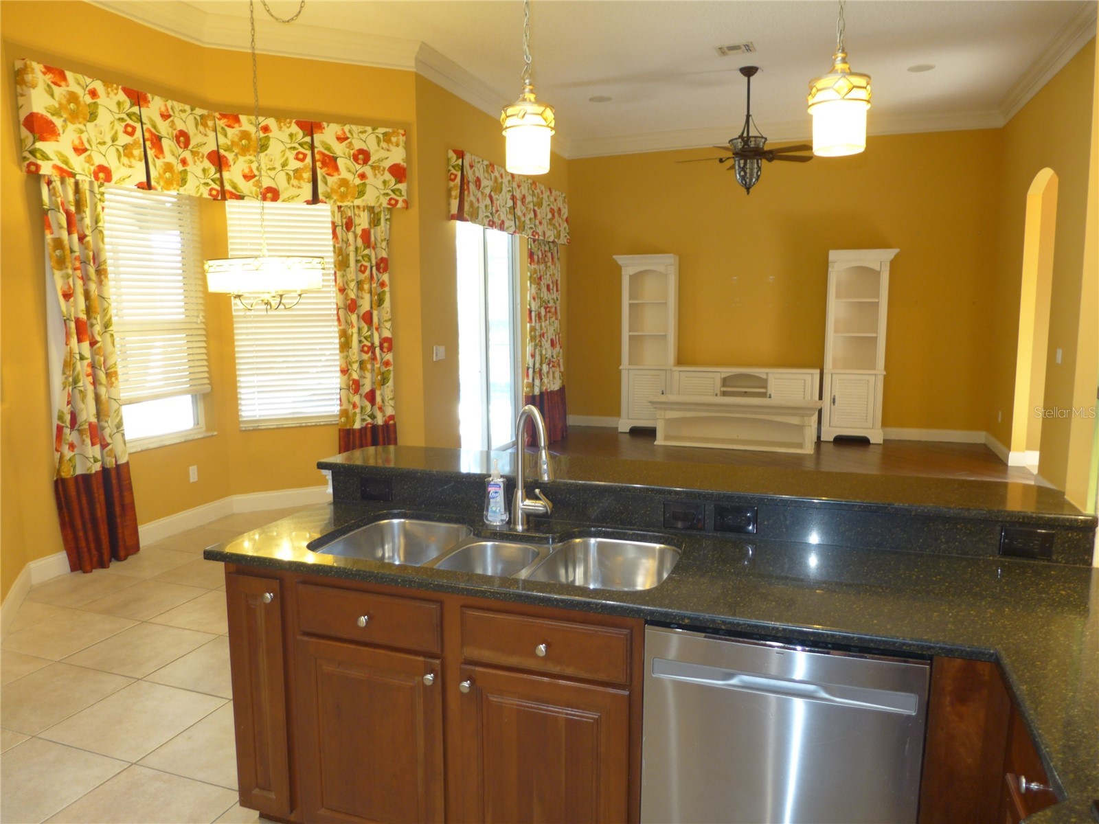 6000 Tremayne Drive Mount Dora FL 32757 G5107194 image12