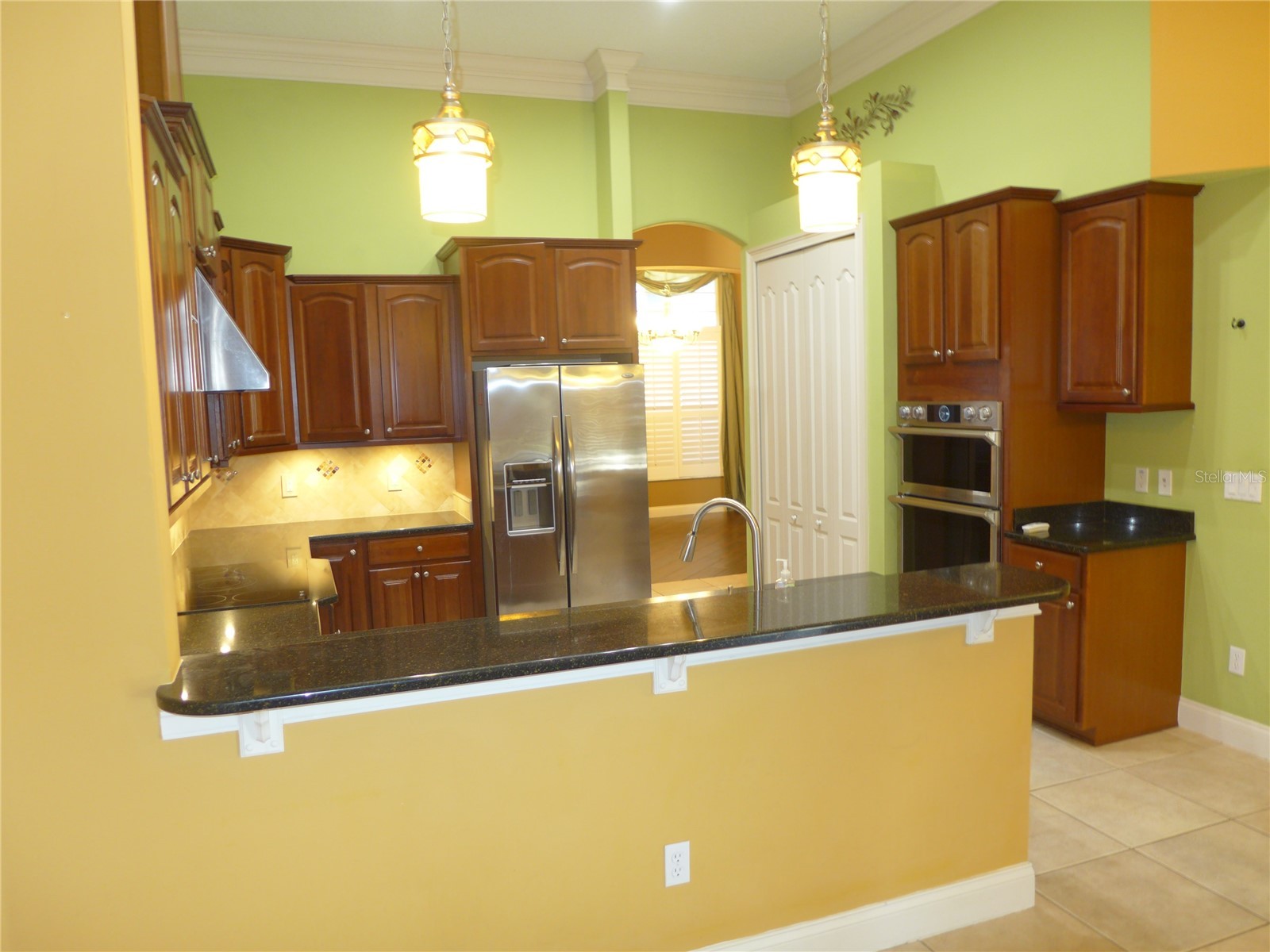 6000 Tremayne Drive Mount Dora FL 32757 G5107194 image13