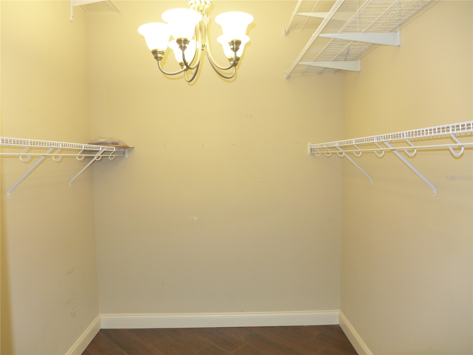 6000 Tremayne Drive Mount Dora FL 32757 G5107194 image22