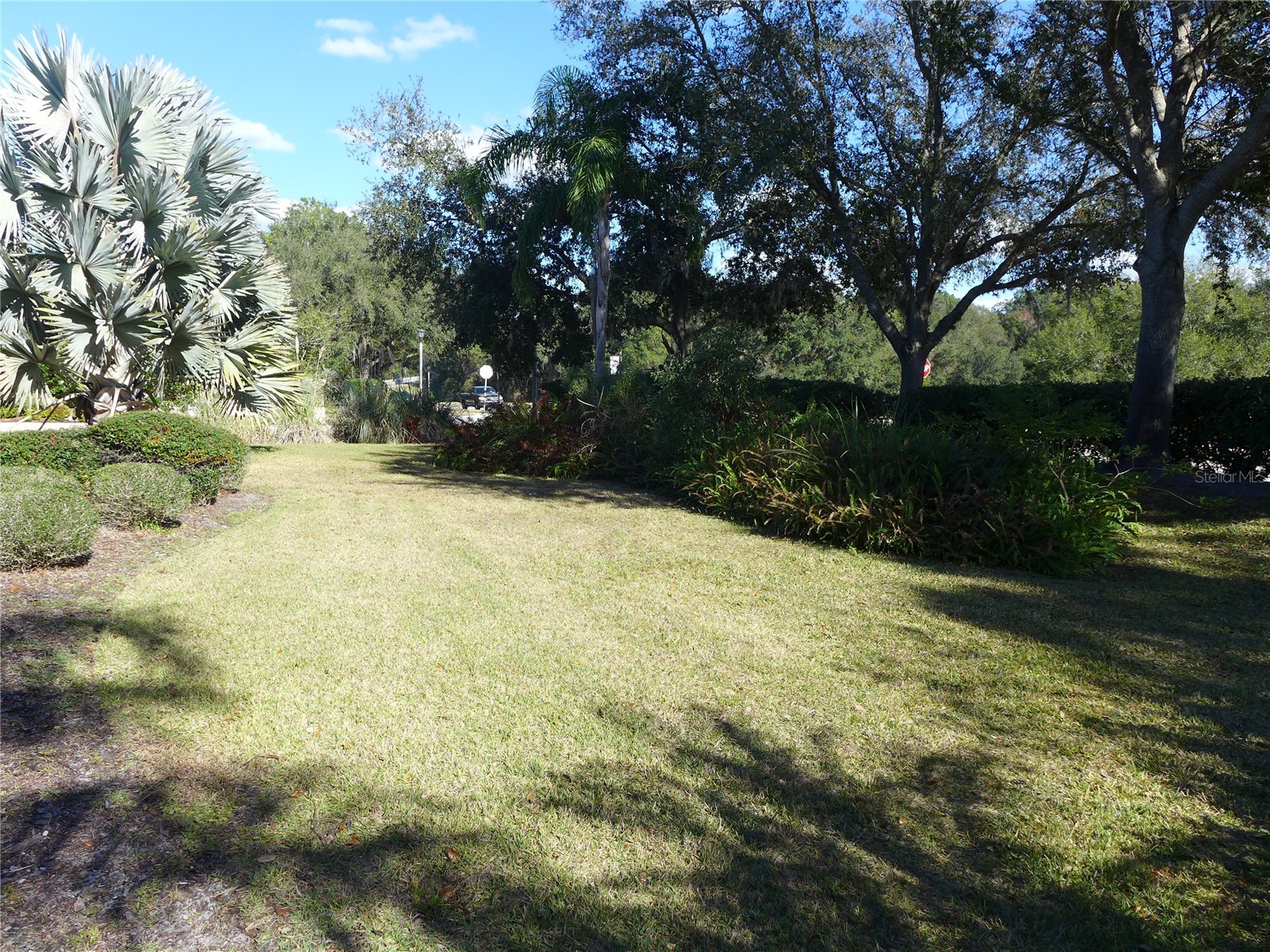 6000 Tremayne Drive Mount Dora FL 32757 G5107194 image35