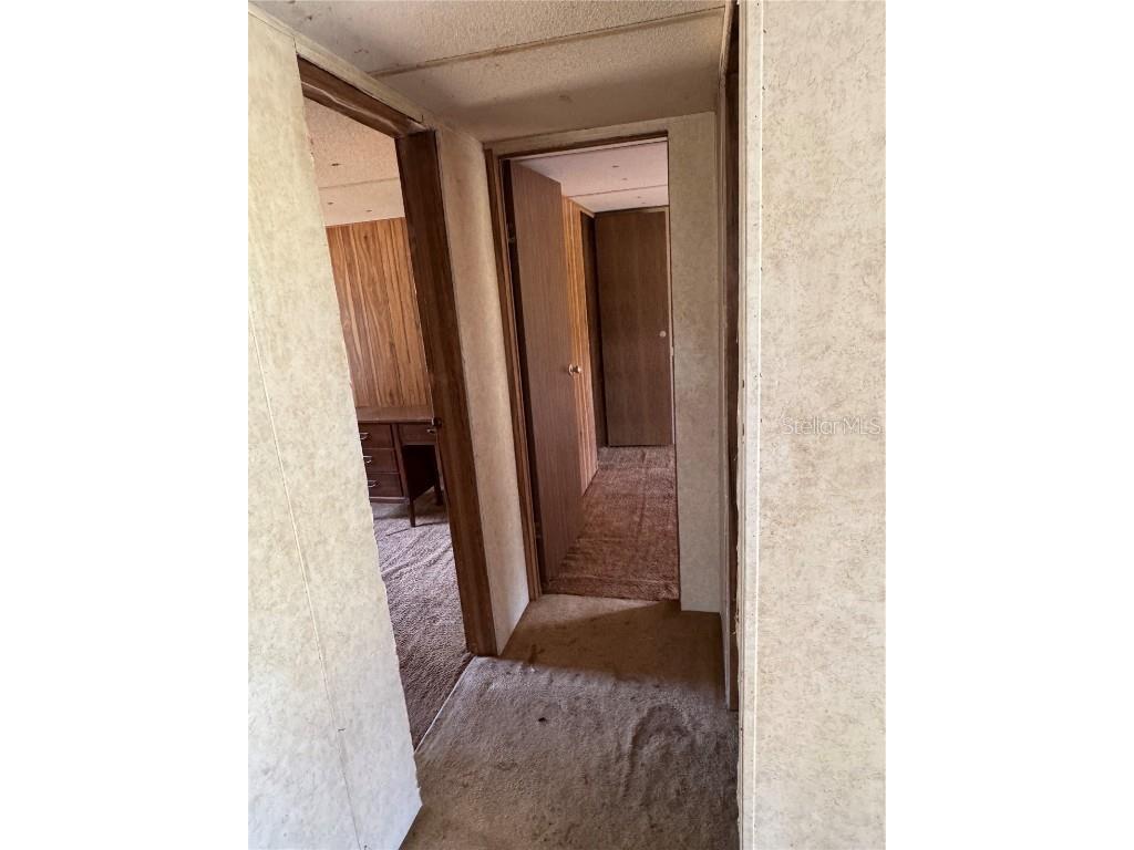 6001 185th Road Live Oak FL 32060 L4956223 image28