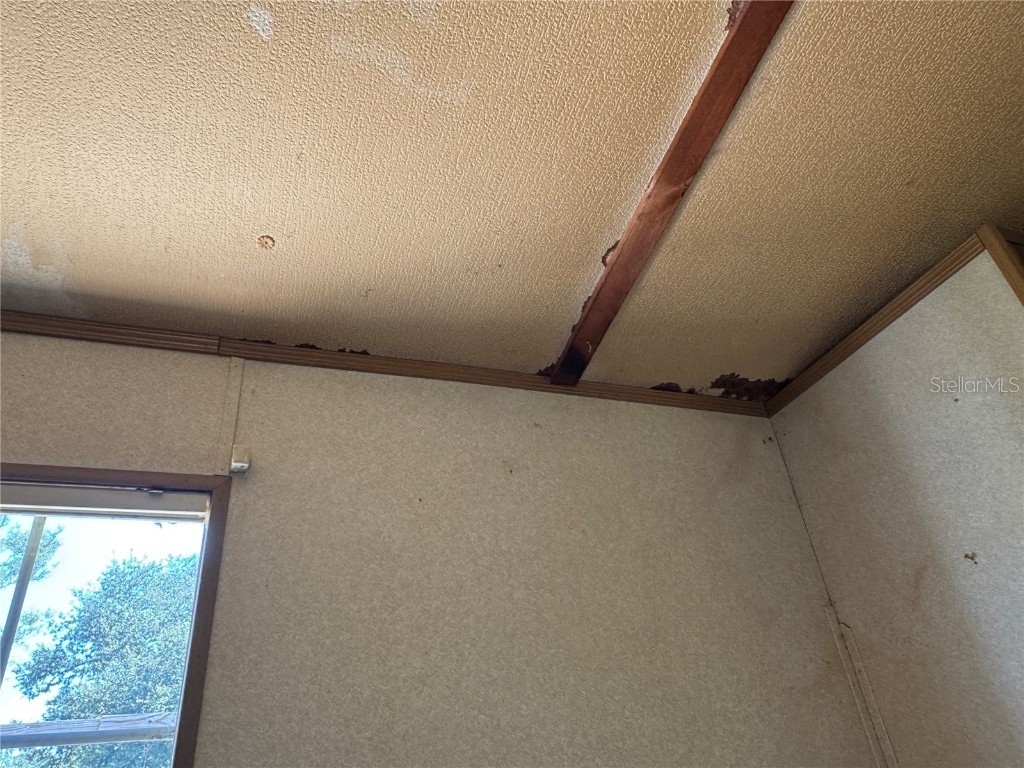 6001 185th Road Live Oak FL 32060 L4956223 image50
